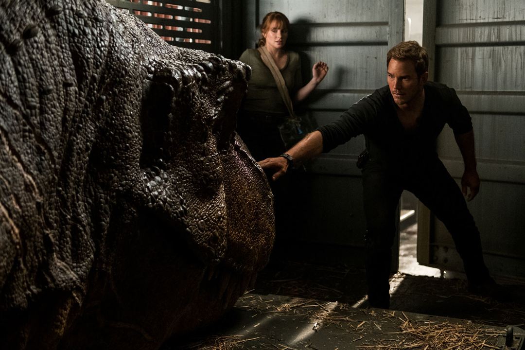 Jurassic World: Reino Ameaçado : Fotos Bryce Dallas Howard, Chris Pratt