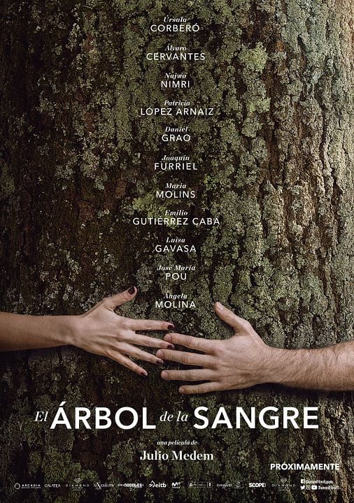 Árvore de Sangue : Poster