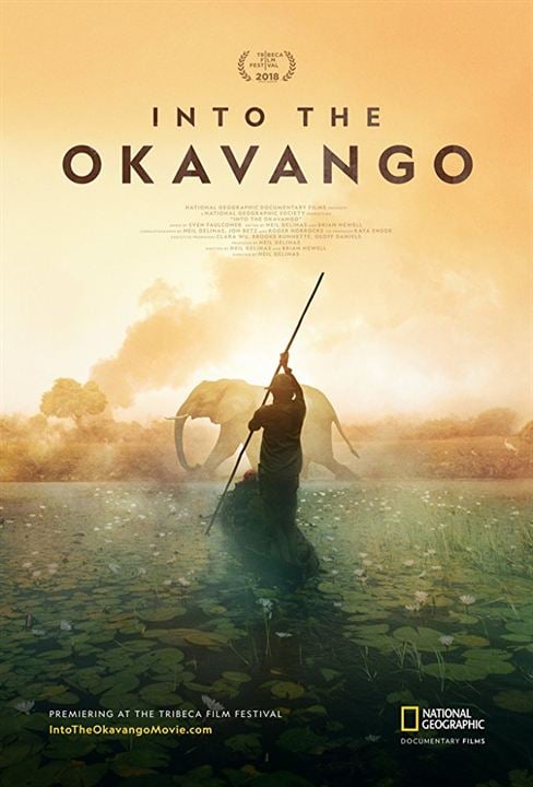 Into the Okavango : Poster