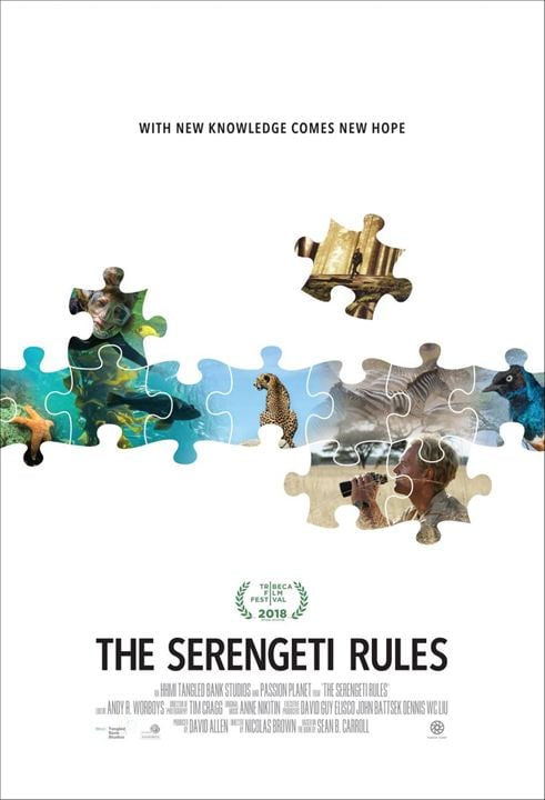 The Serengeti Rules : Poster