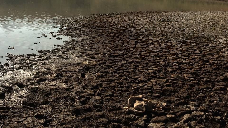 Água Mole Pedra Dura : Fotos