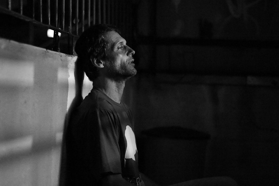 Observar e Absorver : Fotos