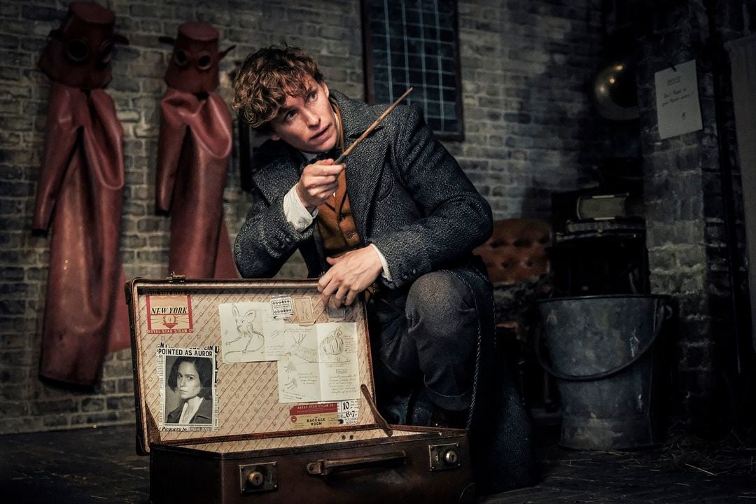 Animais Fantásticos: Os Crimes de Grindelwald : Fotos Eddie Redmayne