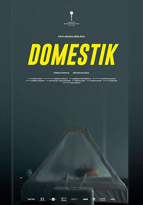 Domestique : Poster