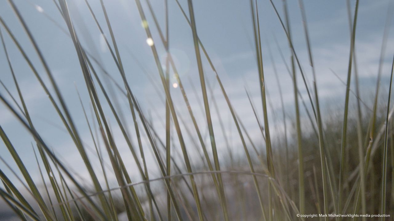 Menina de Areia : Fotos