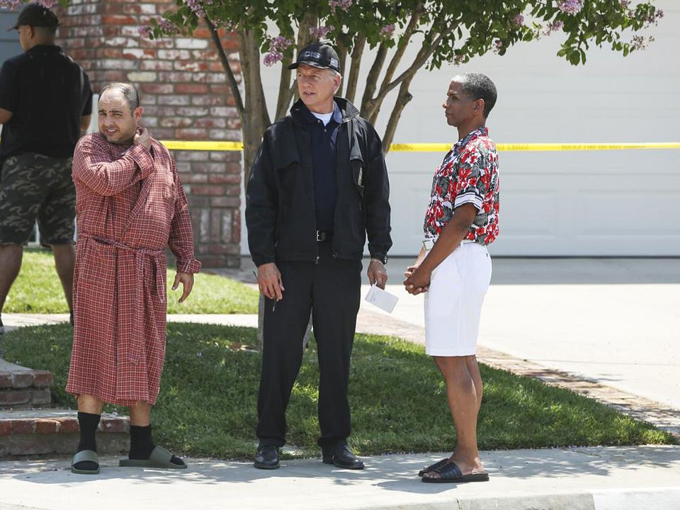 Fotos Mark Harmon