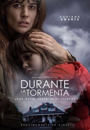 Durante a Tormenta : Poster