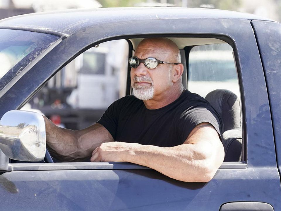 Fotos Bill Goldberg