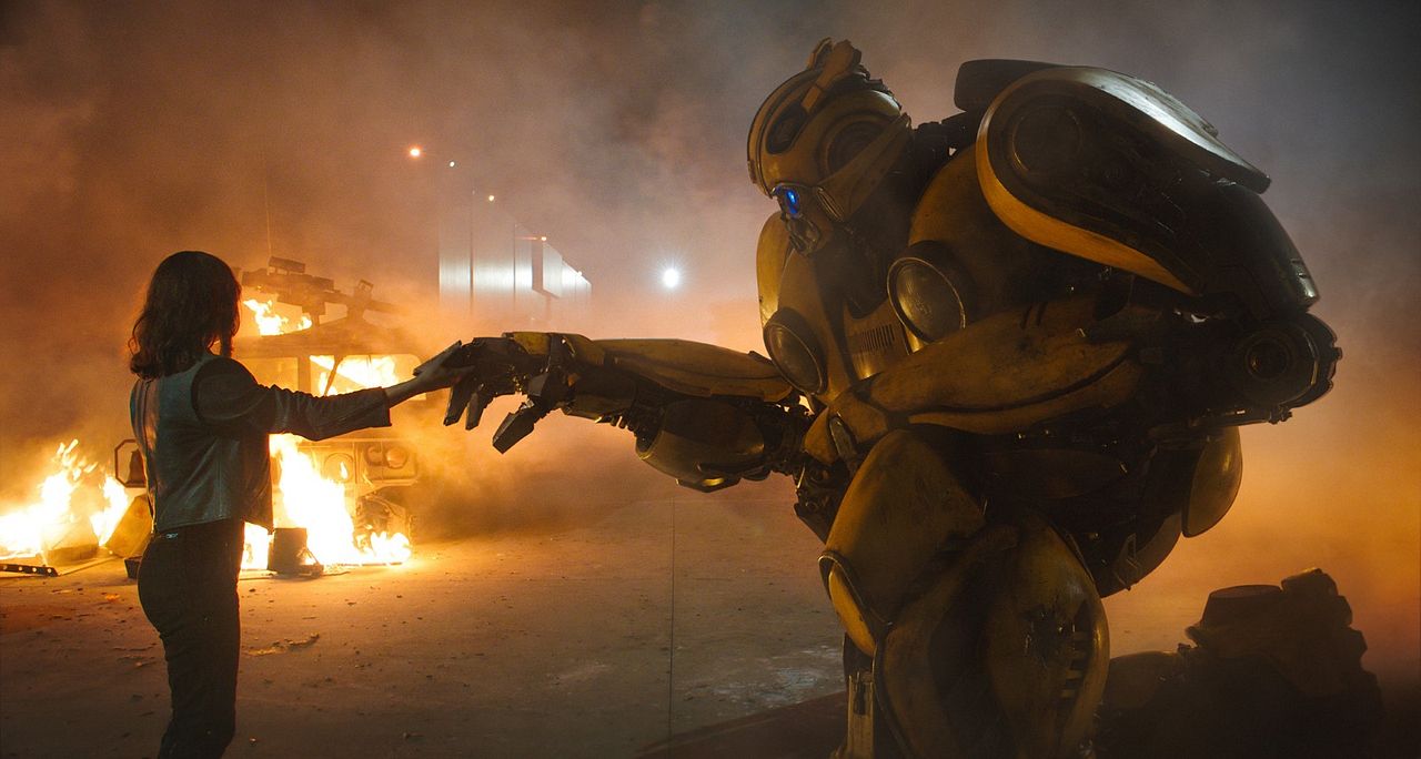 Bumblebee : Fotos