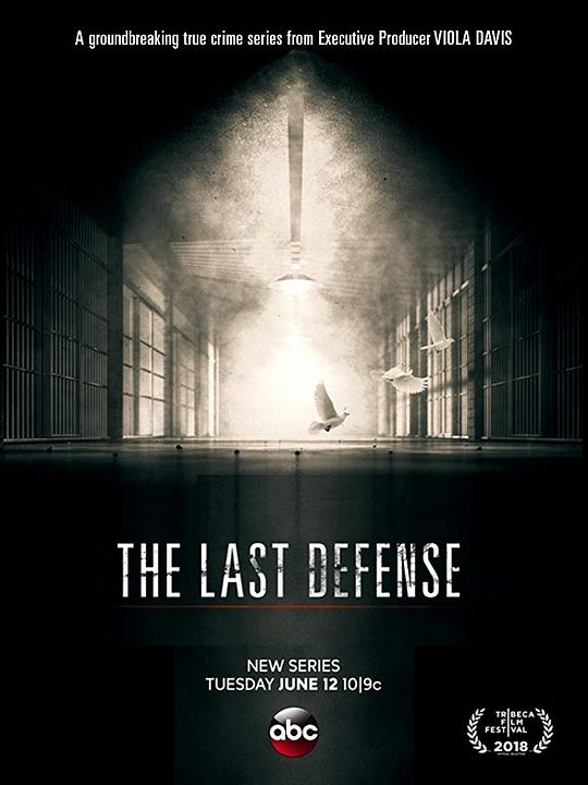 The Last Defense : Poster