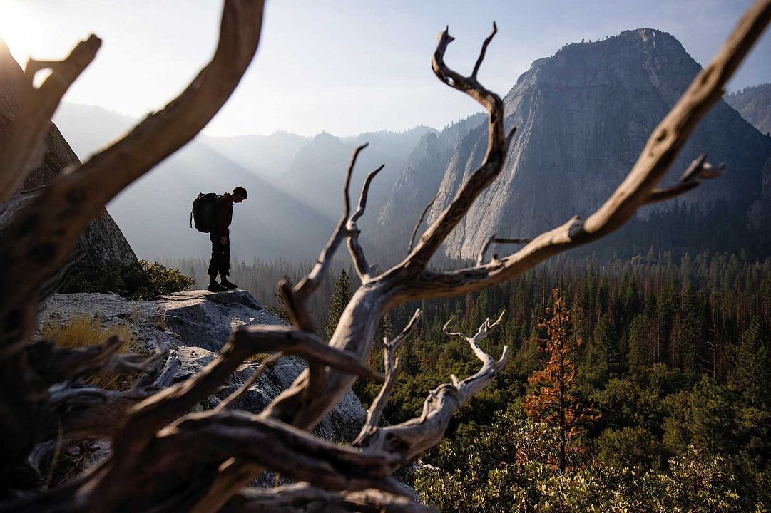 Free Solo : Fotos Alex Honnold