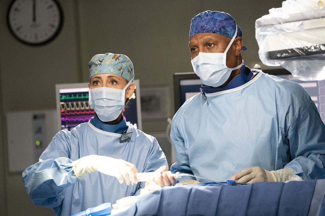 Grey's Anatomy : Fotos Kim Raver, James Pickens Jr.