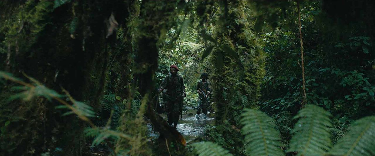 The Mercy of the Jungle : Fotos Marc Zinga, Stéphane Bak