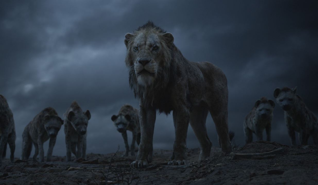 O Rei Leão : Fotos