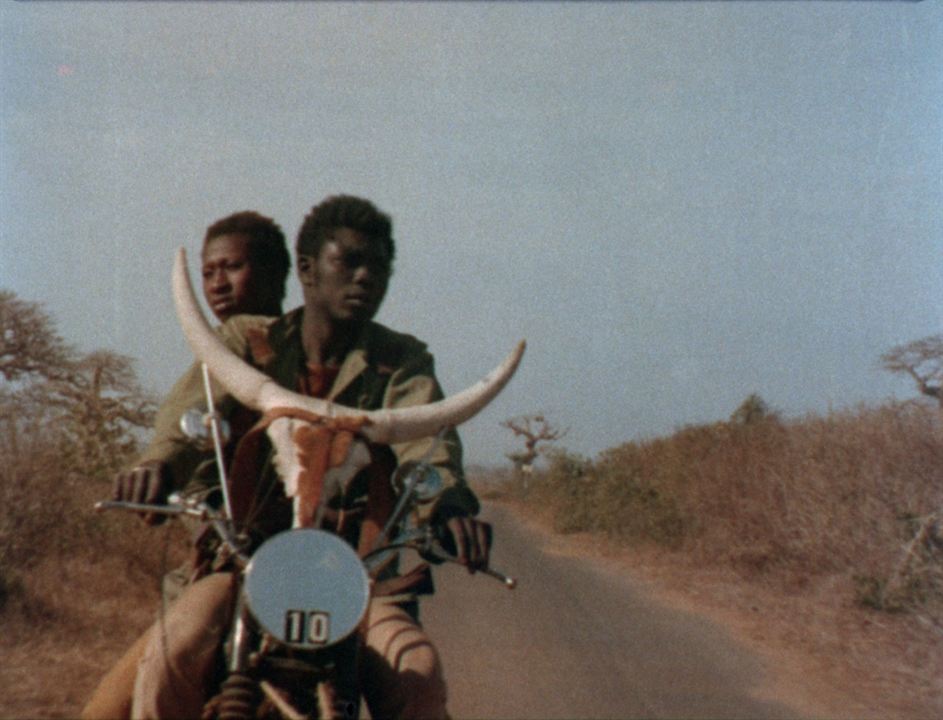 Camera d'Afrique (20 years of African Cinema) : Fotos