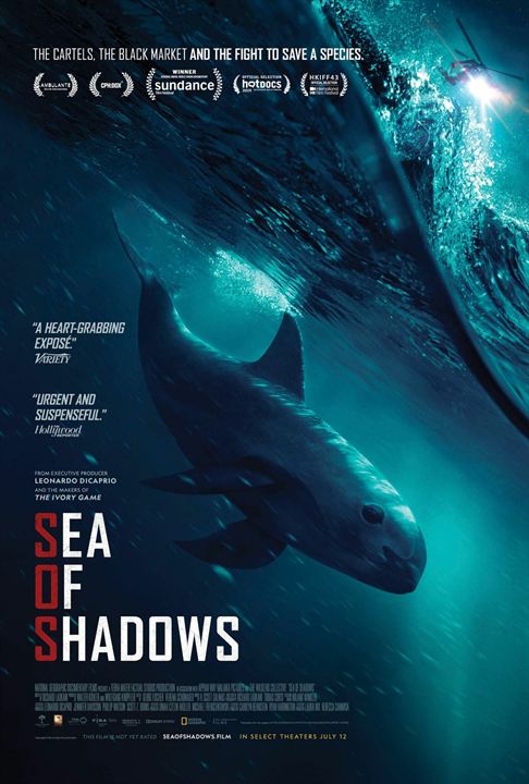 Sea of Shadows : Poster