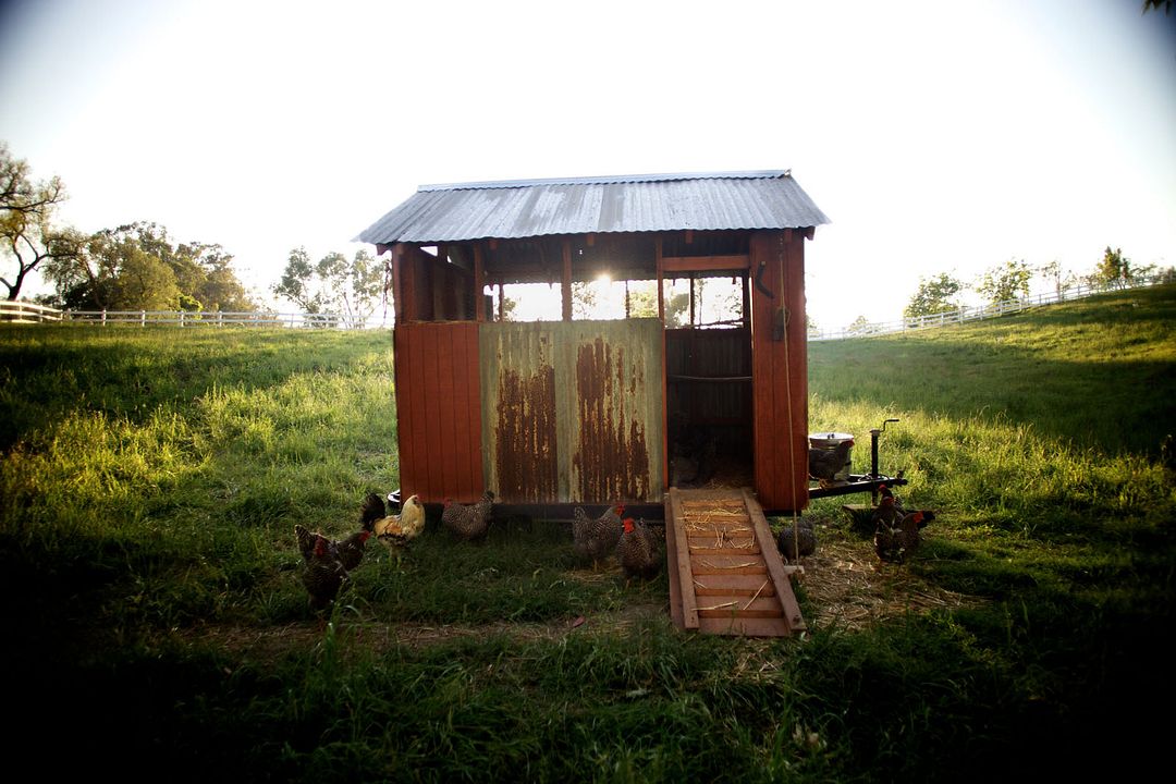 A Pequena Grande Fazenda : Fotos