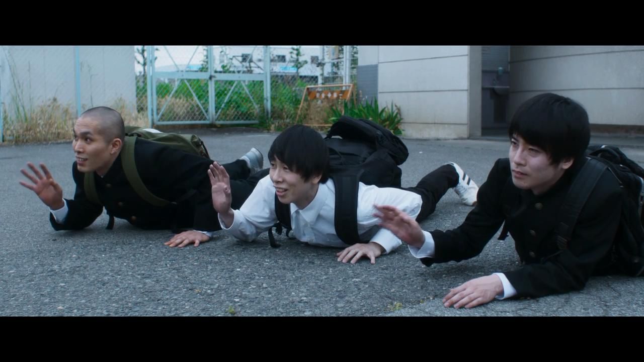 Love and Other Cults : Fotos