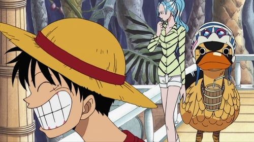 One Piece : Fotos