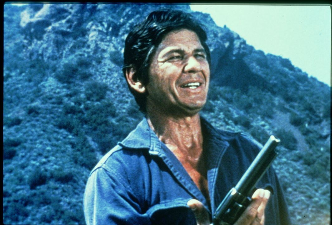 Quando os Homens são Maus : Fotos Charles Bronson