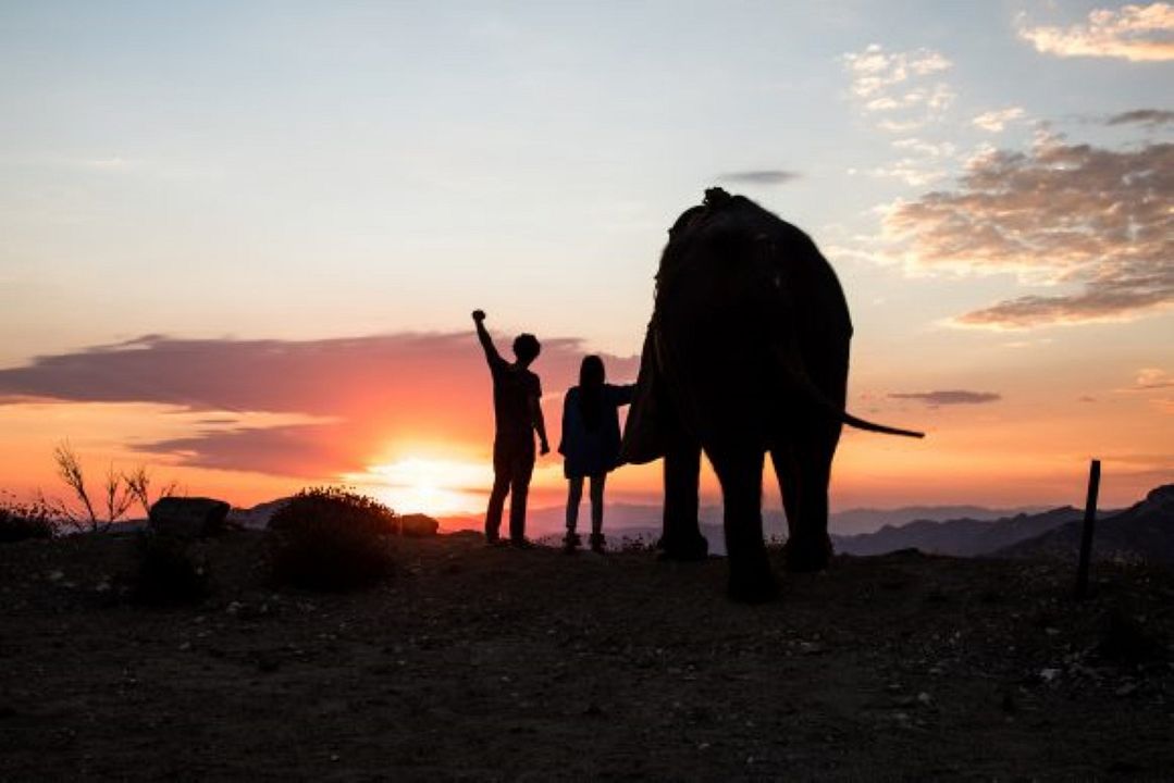 Uma Grande Amizade : Fotos