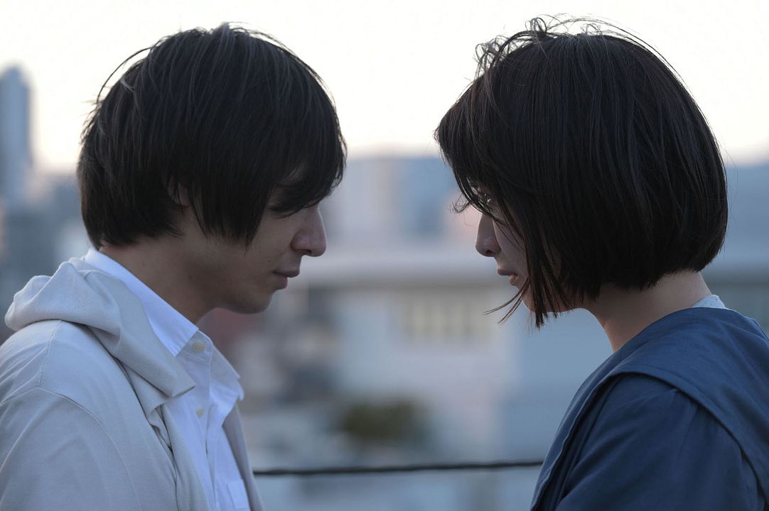 Crepúsculo dos felinos : Fotos