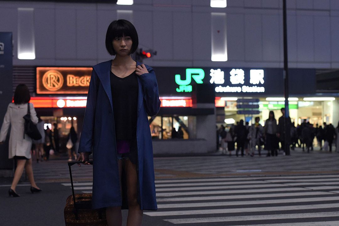 Crepúsculo dos felinos : Fotos