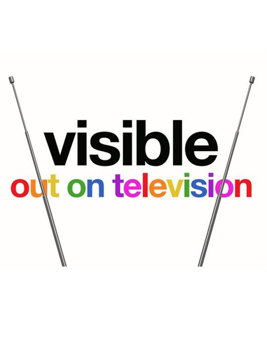 Visible : Out on Television : Poster