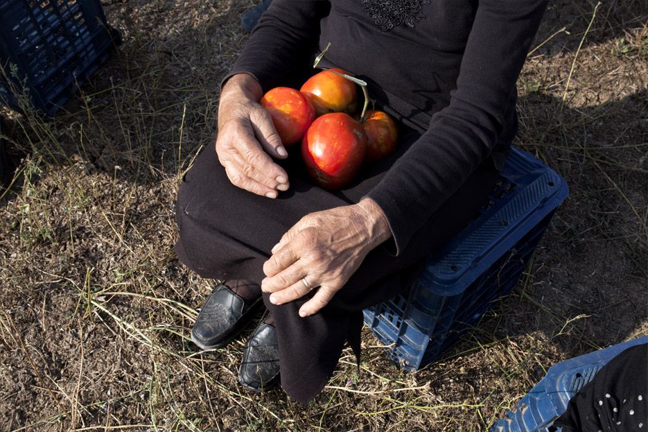 When Tomatoes Met Wagner : Fotos