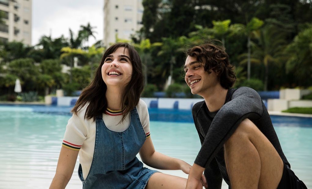 Sobre Girassóis : Fotos