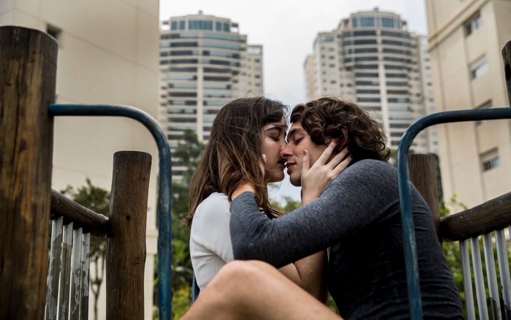 Sobre Girassóis : Fotos