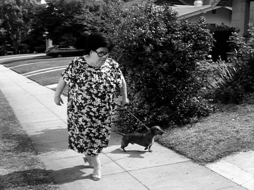 Frankenweenie : Fotos