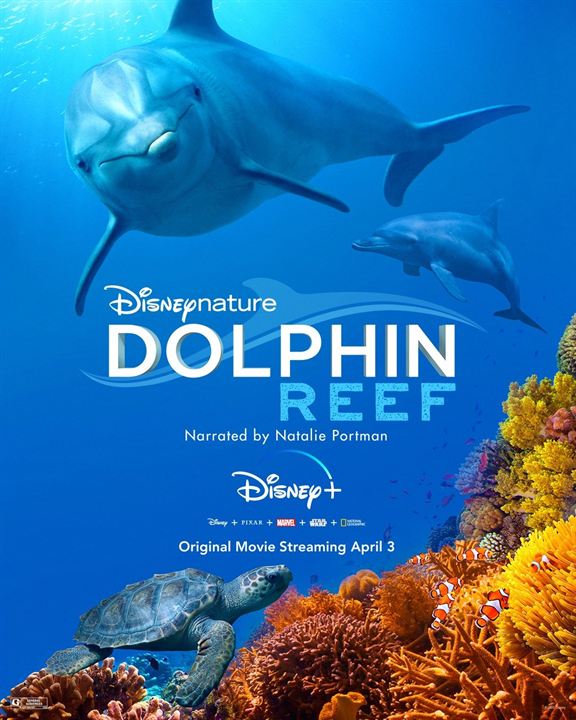 Dolphin Reef : Poster
