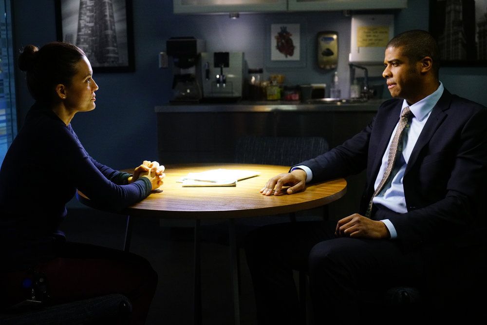 Fotos Torrey DeVitto