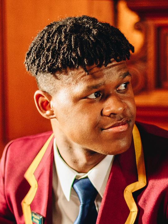 Poster Dillon Windvogel