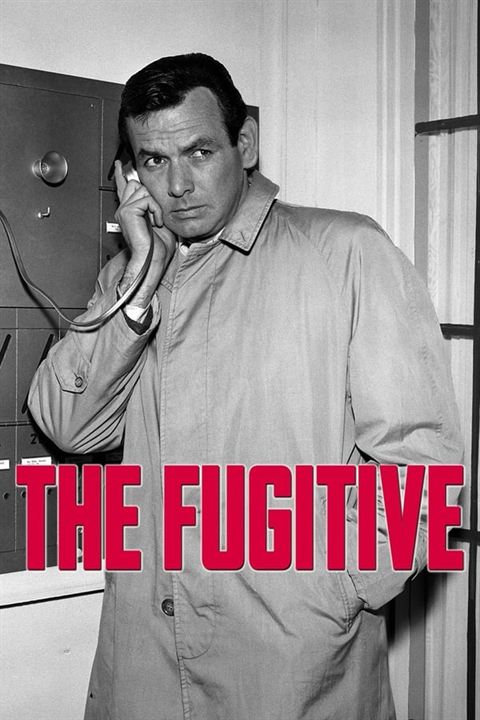 The Fugitive : Poster