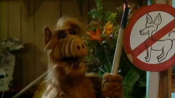 ALF : Poster