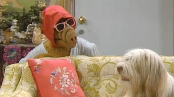 ALF : Poster