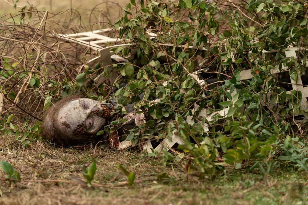 The Walking Dead: Um Novo Universo : Fotos