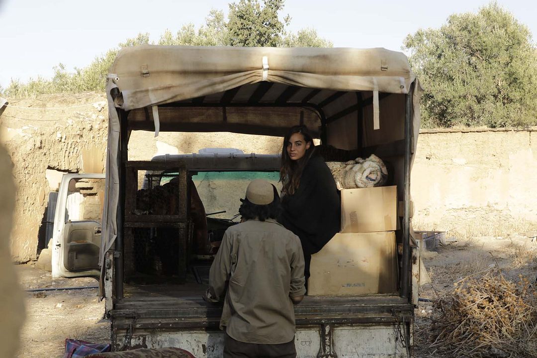 No Man's Land : Fotos Souheila Yacoub