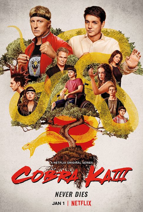 Cobra Kai : Poster