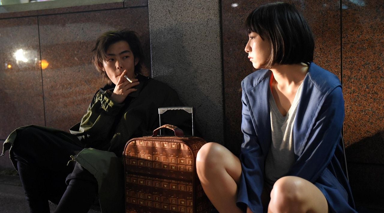 Crepúsculo dos felinos : Fotos