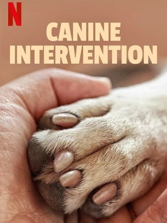 Intervenção Canina : Poster