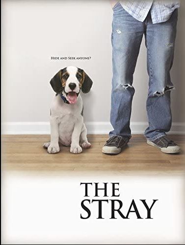 Procura-se um Dono : Poster