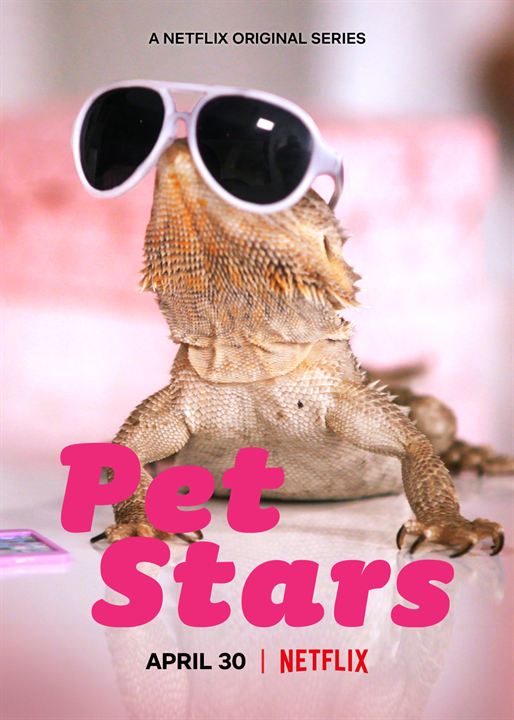 Pet Stars : Poster