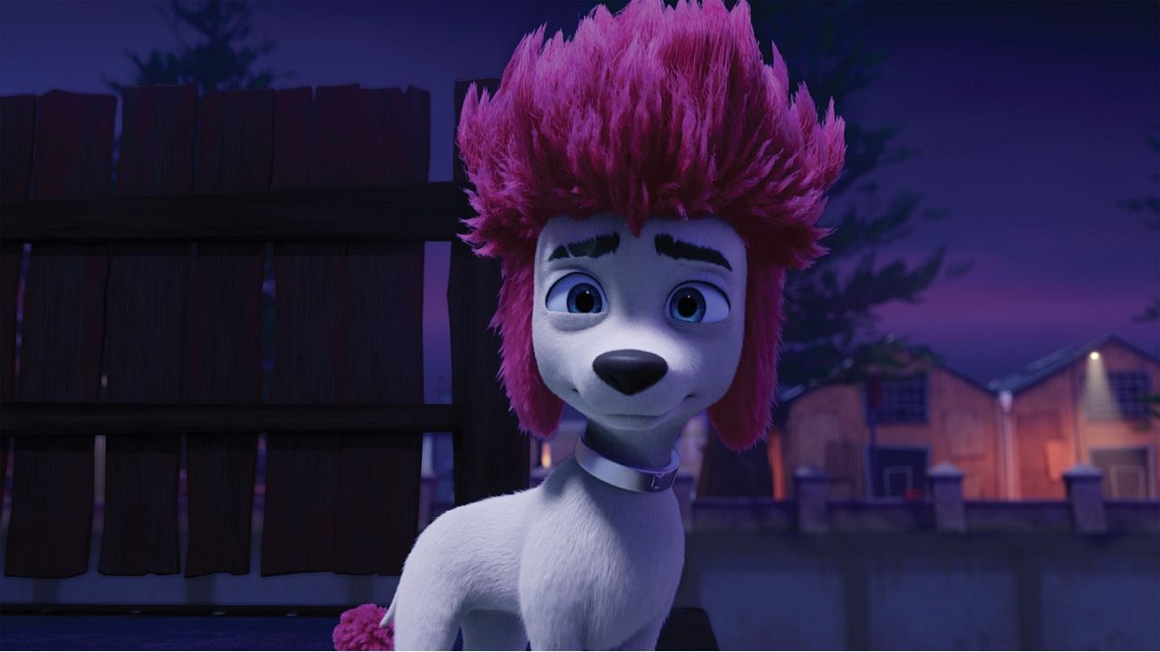 100% Lobo : Fotos