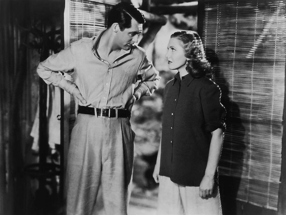 Paraíso Infernal : Fotos Jean Arthur, Cary Grant