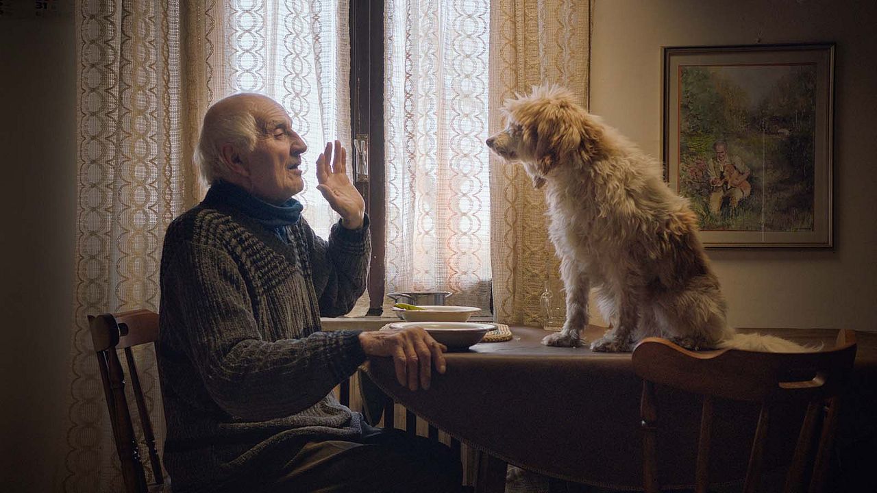 The Truffle Hunters : Fotos