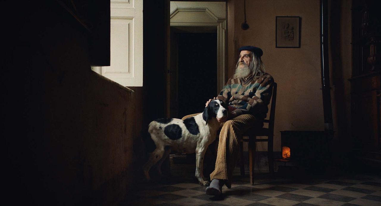 The Truffle Hunters : Fotos