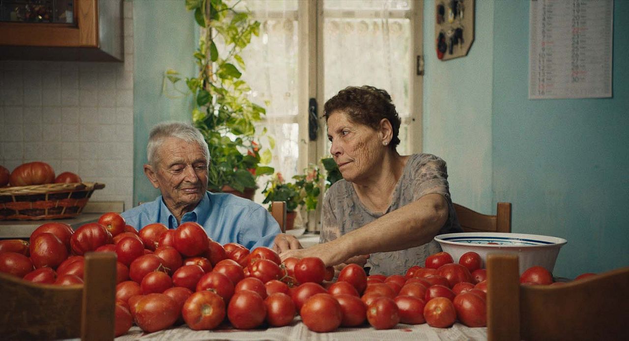 The Truffle Hunters : Fotos